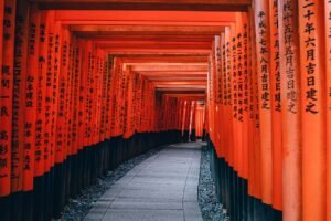 Where to Stay in Kyoto