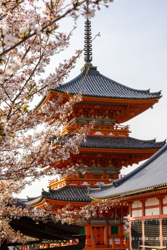Scenic view of Kiyomizudera Temple framed by blooming cherry blossoms in Kyoto, Japan.