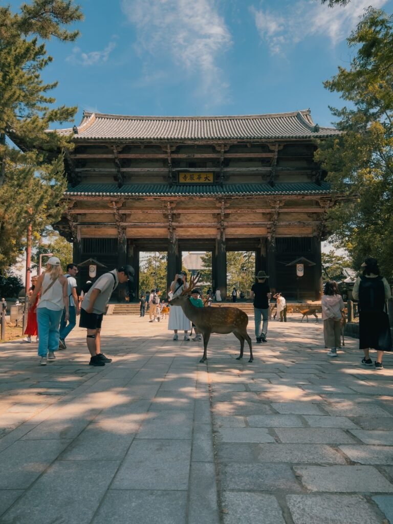 Tourists interact with freely roaming deer in front of Nandaimon Gate at Nara Park, Japan.