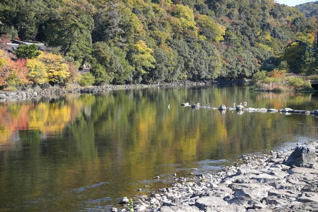 Autumn foliage reflecting on a tranquil river in Uji, Kyoto, Japan.