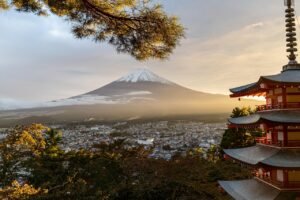 Best Day Trips from Tokyo: Top Itineraries, Transit & Private Tours