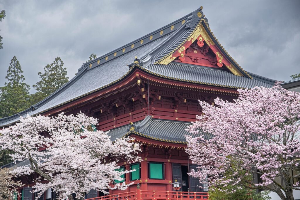 cherry, sanctuary, buddhism, shintoism, architecture, nikko, japan, nikko, nikko, nikko, nikko, nikko