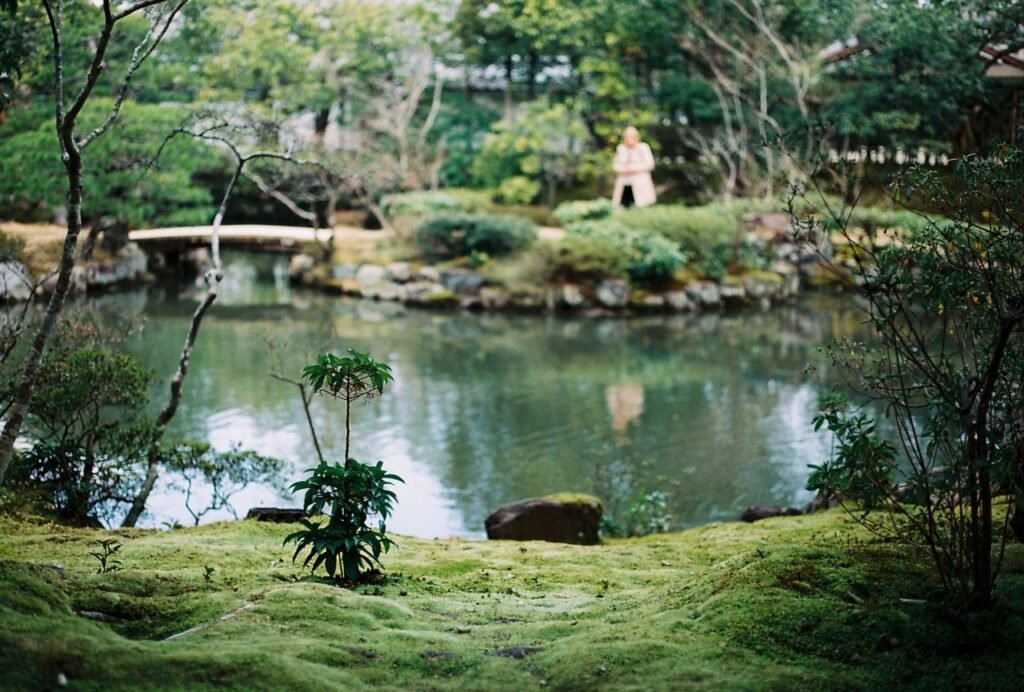 Peaceful scene in Nara's garden with pond and lush greenery.