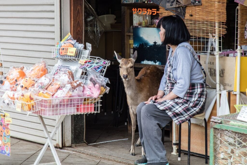A deer and shopkeeper share a moment in a Nara, Japan souvenir shop. Unique cultural scene.
